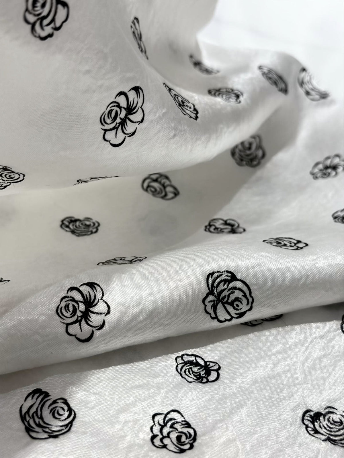 Sketched Rose Acetate