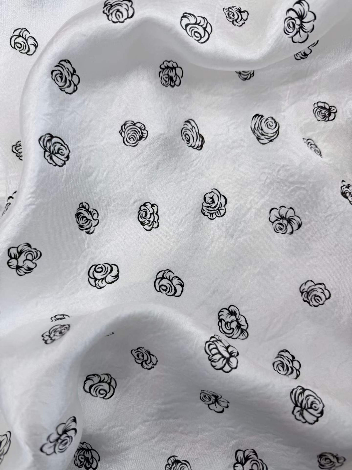 Sketched Rose Acetate